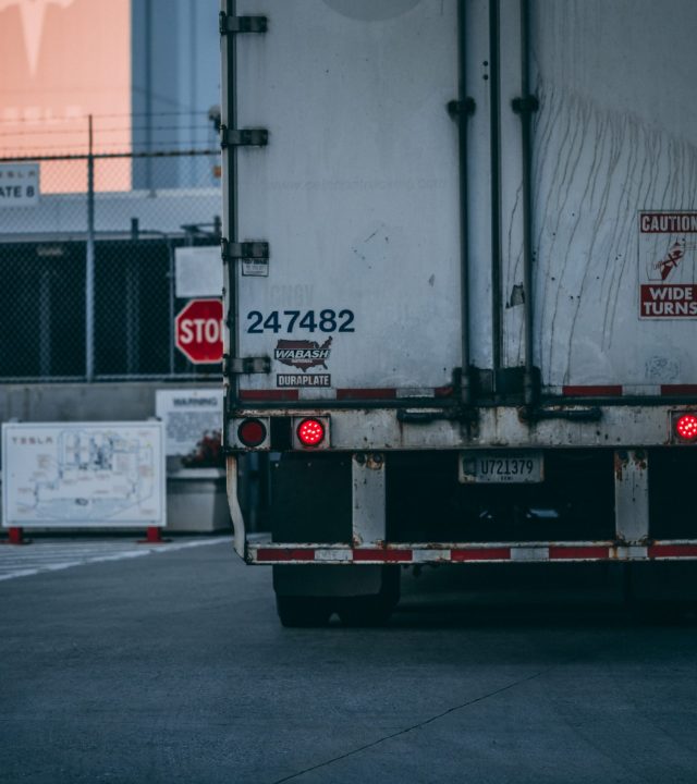 pexels-craig-adderley-2449454